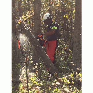 ECHO CS 4510ES Benzin Kettensäge- 2,3kW – Bild 9