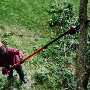 ECHO PPT-2620HES Benzin Hochentaster - 1,0kW – Bild 6