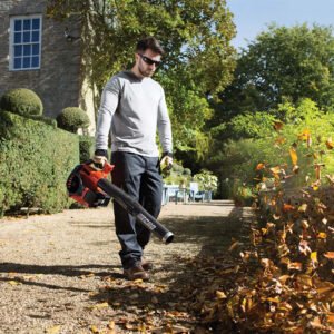 ECHO ES-250ES Benzin Laubbläser - 0,72kW – Bild 3