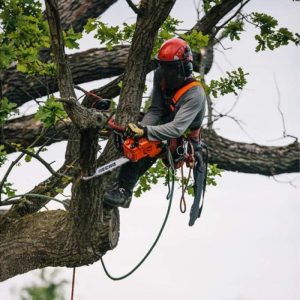 ECHO CS-2511TESC NC Benzin Kettensäge - 1,1kW – Bild 8