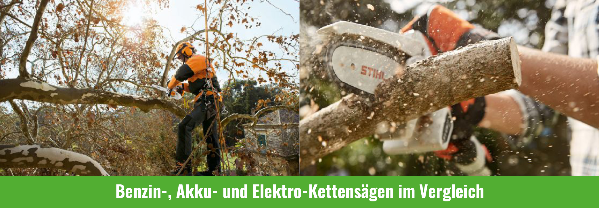 Kettensäge vergleich